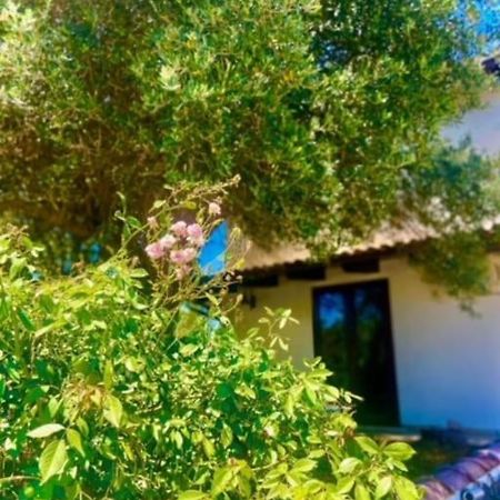 Camera Villa Sarda Aurora Elmas Екстер'єр фото