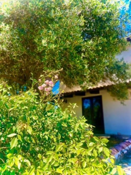 Camera Villa Sarda Aurora Elmas Екстер'єр фото